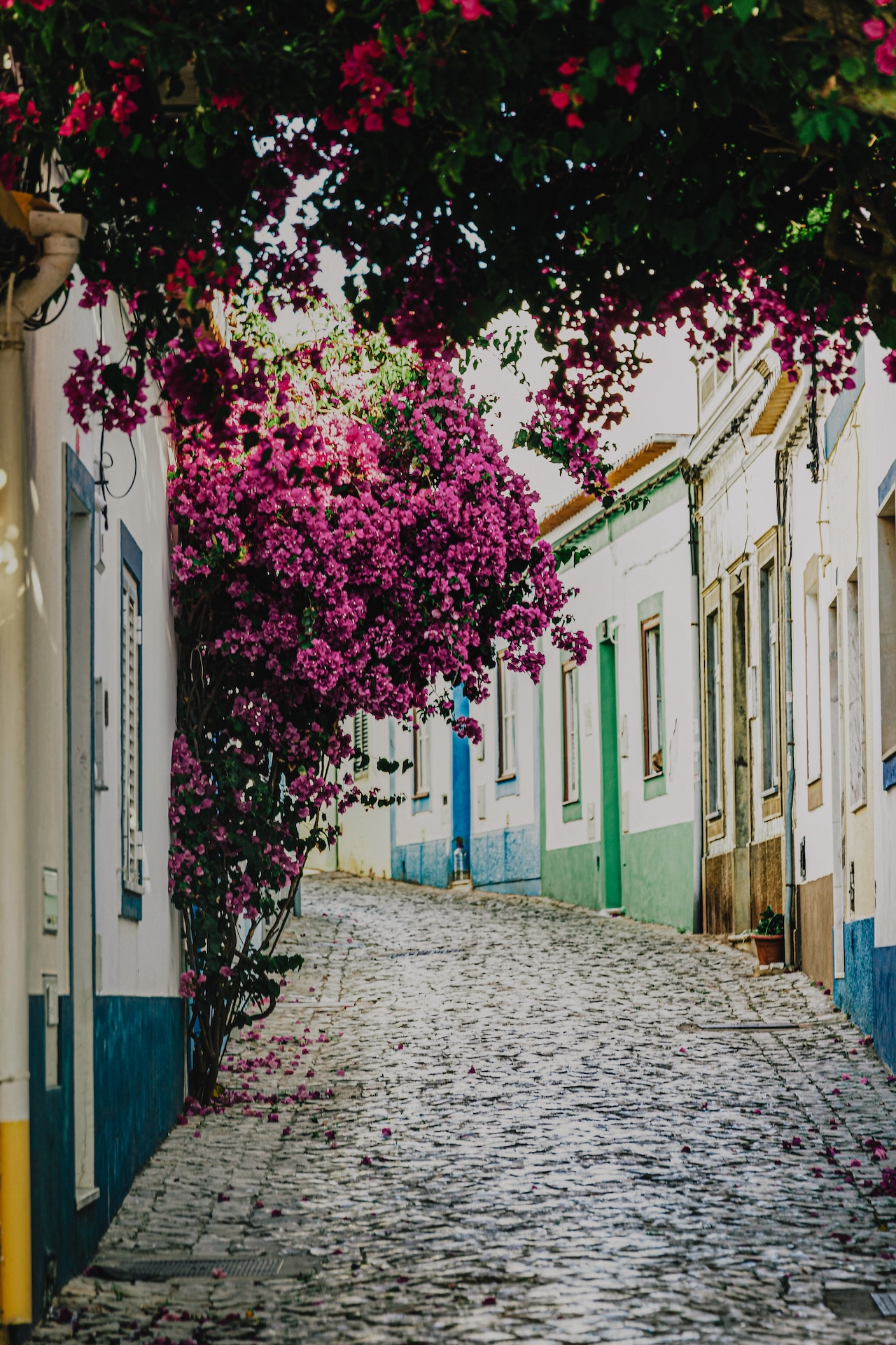 Algarve